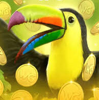 Fortune Toucan