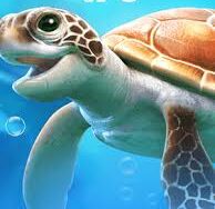 Mr. Turtle