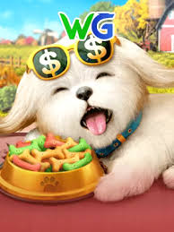 Lucky Dog