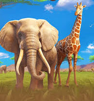 Animal Kingdom